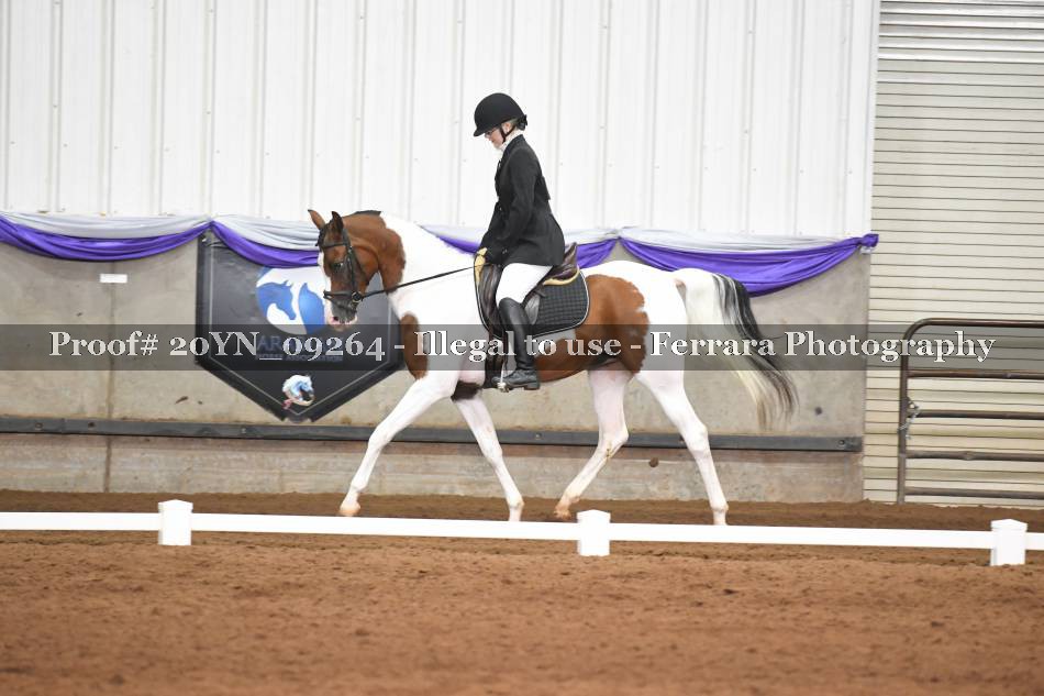 Proof 20YN_09264