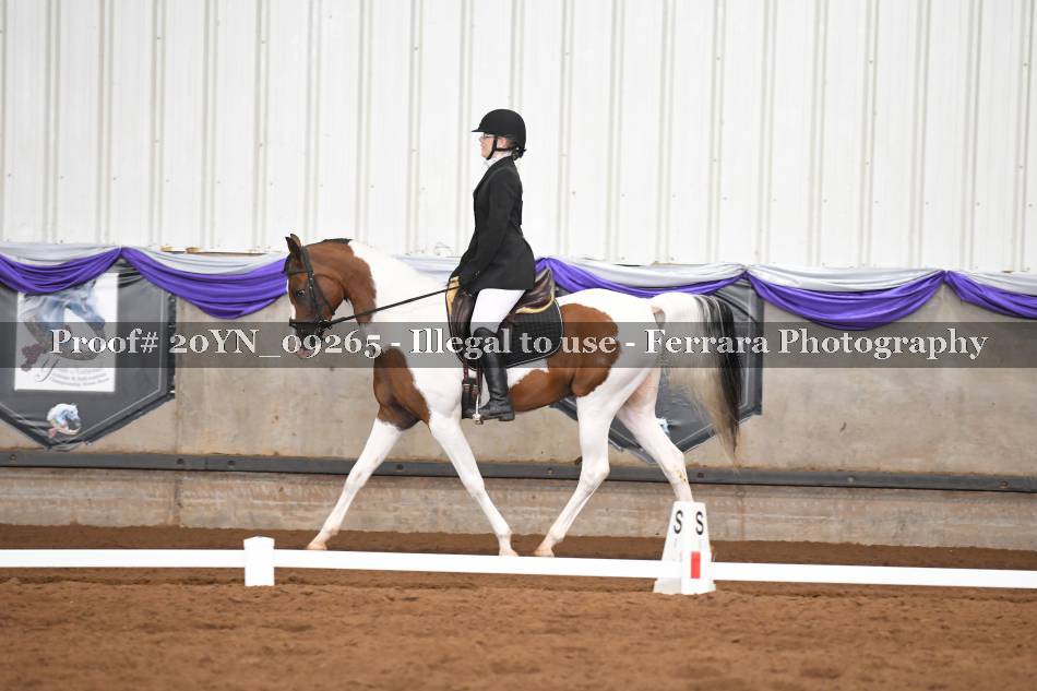 Proof 20YN_09265
