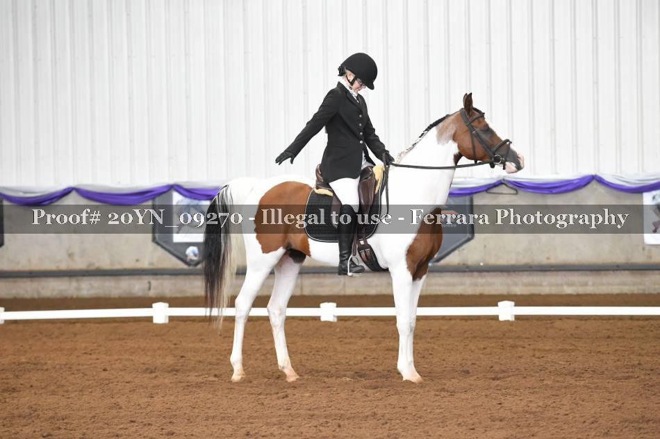 Proof 20YN_09270