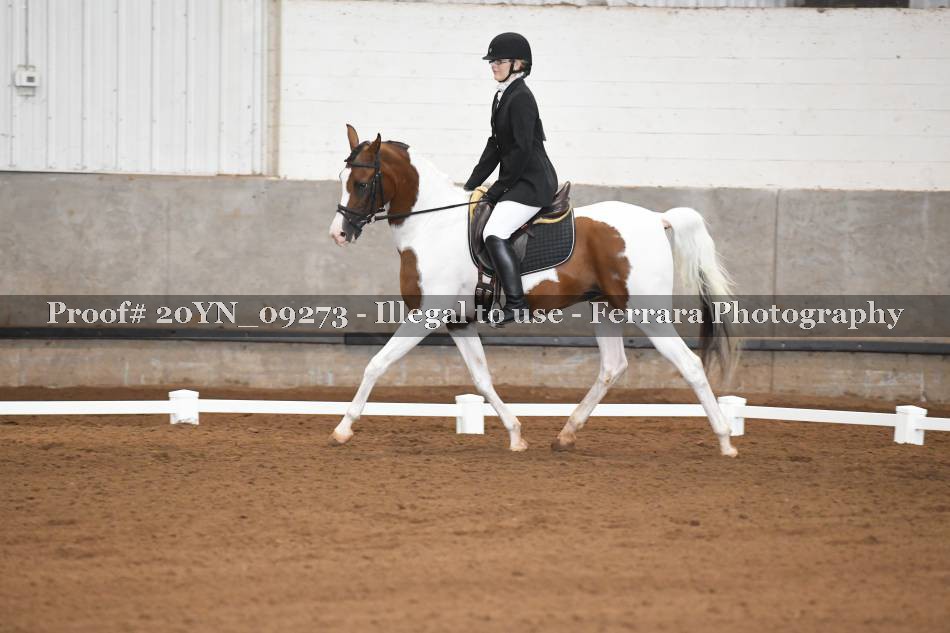 Proof 20YN_09273