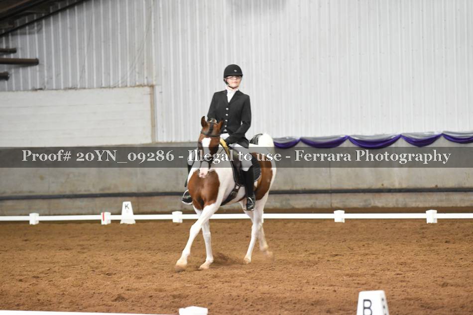 Proof 20YN_09286