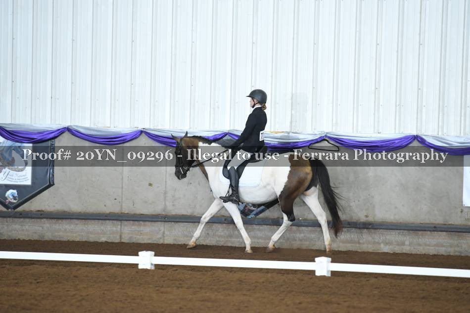Proof 20YN_09296