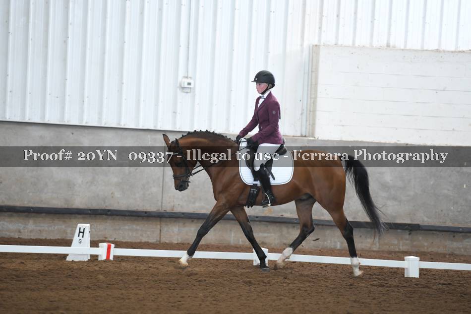Proof 20YN_09337