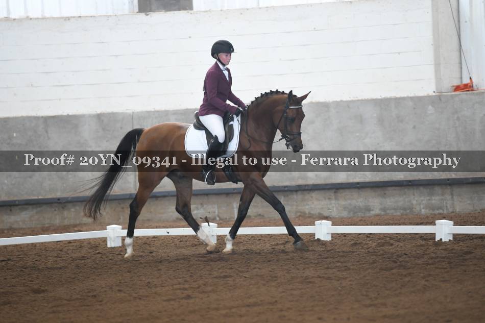 Proof 20YN_09341