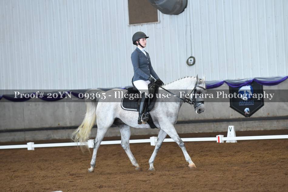 Proof 20YN_09365
