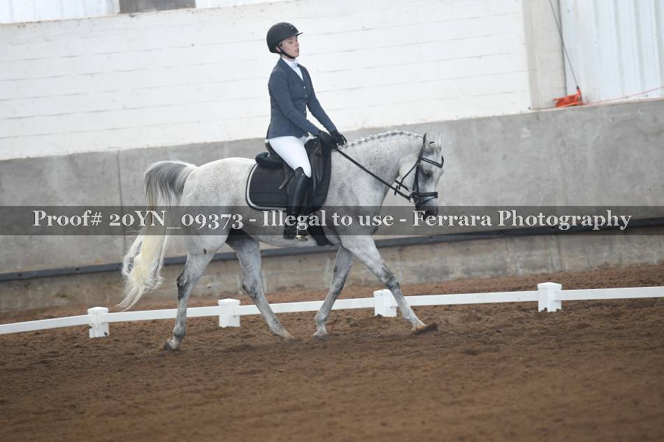 Proof 20YN_09373