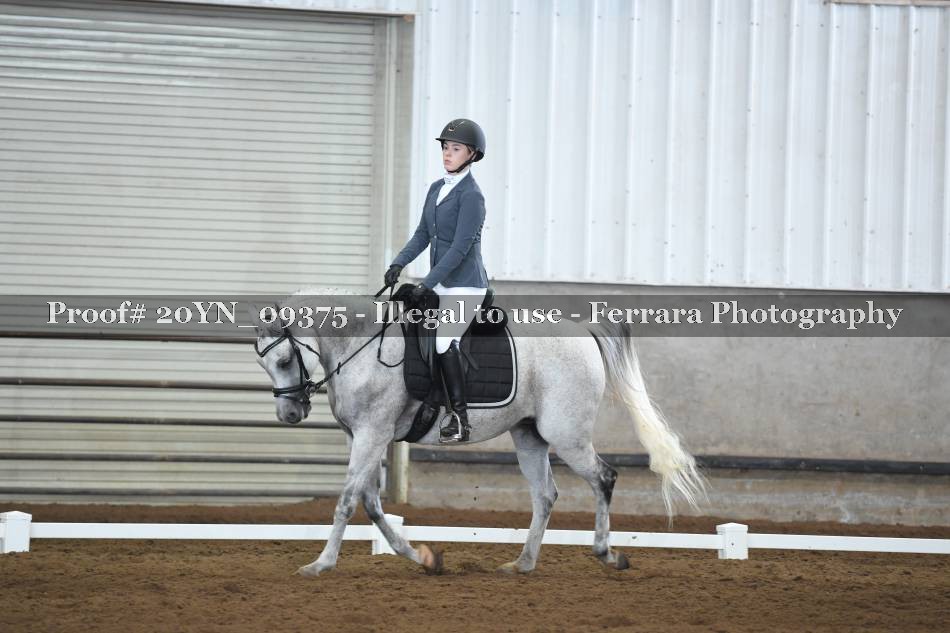 Proof 20YN_09375