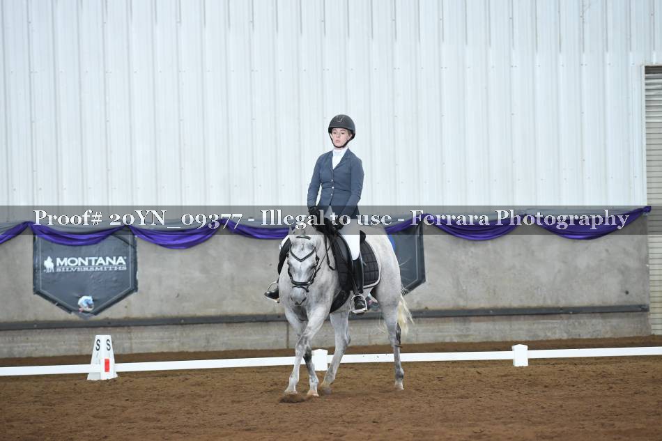 Proof 20YN_09377