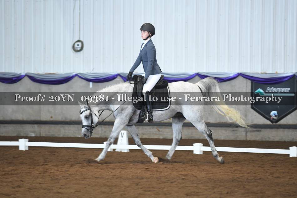 Proof 20YN_09381