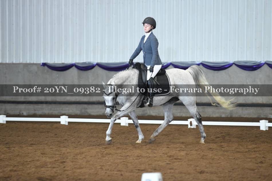 Proof 20YN_09382