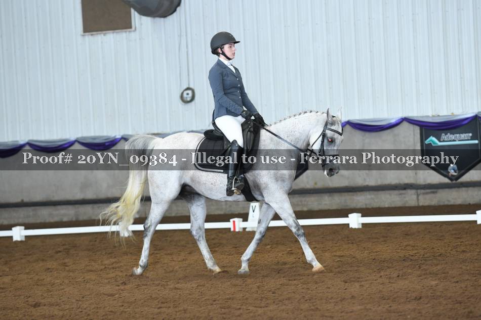 Proof 20YN_09384