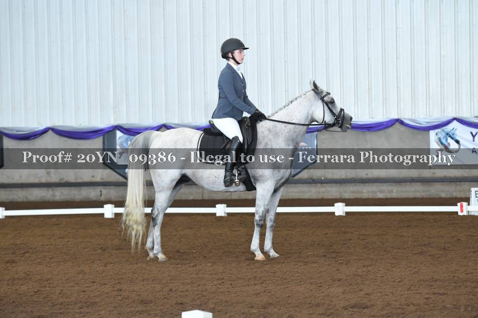 Proof 20YN_09386