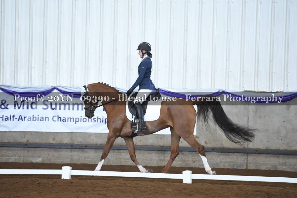Proof 20YN_09390
