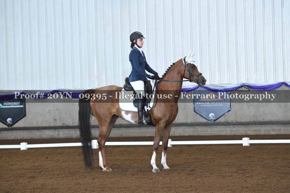 Proof 20YN_09395