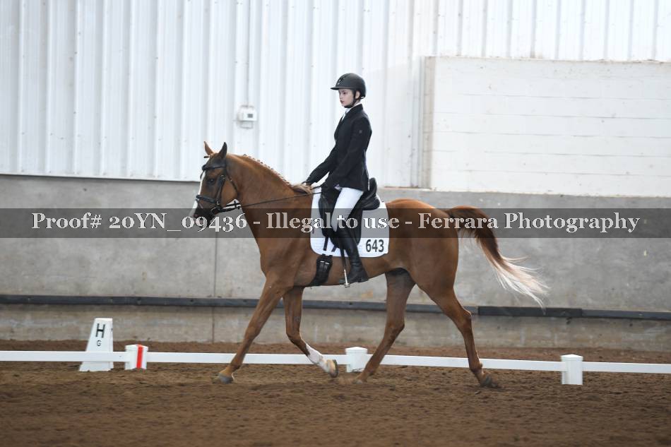 Proof 20YN_09436