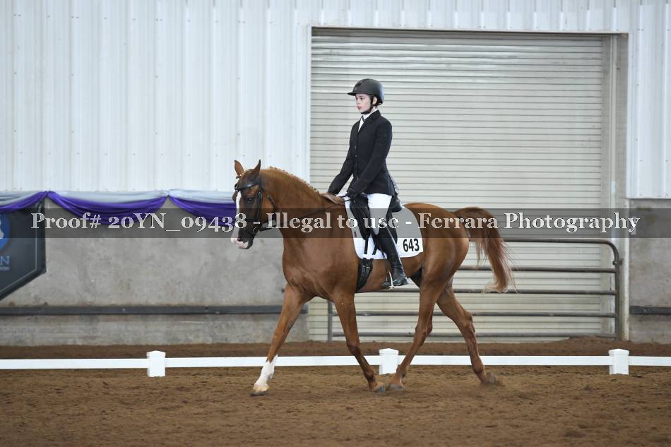 Proof 20YN_09438