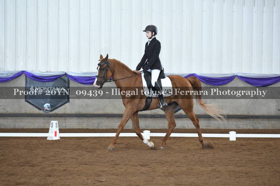 Proof 20YN_09439