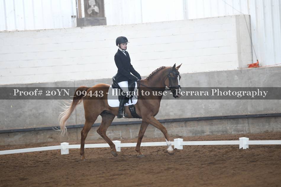 Proof 20YN_09443