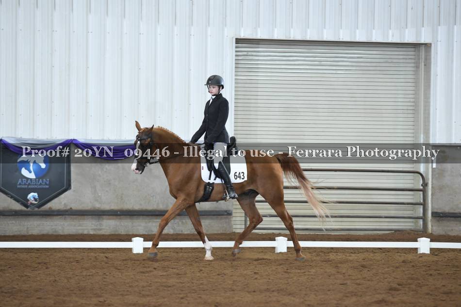 Proof 20YN_09446