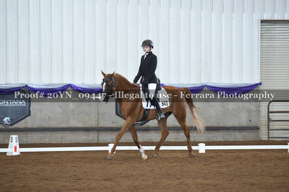 Proof 20YN_09447