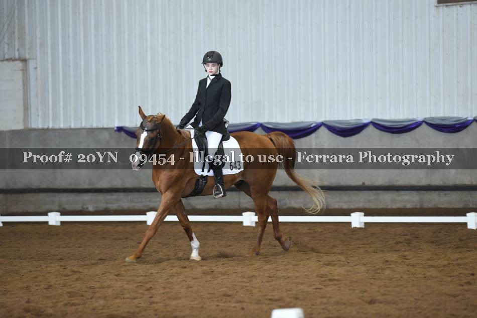 Proof 20YN_09454
