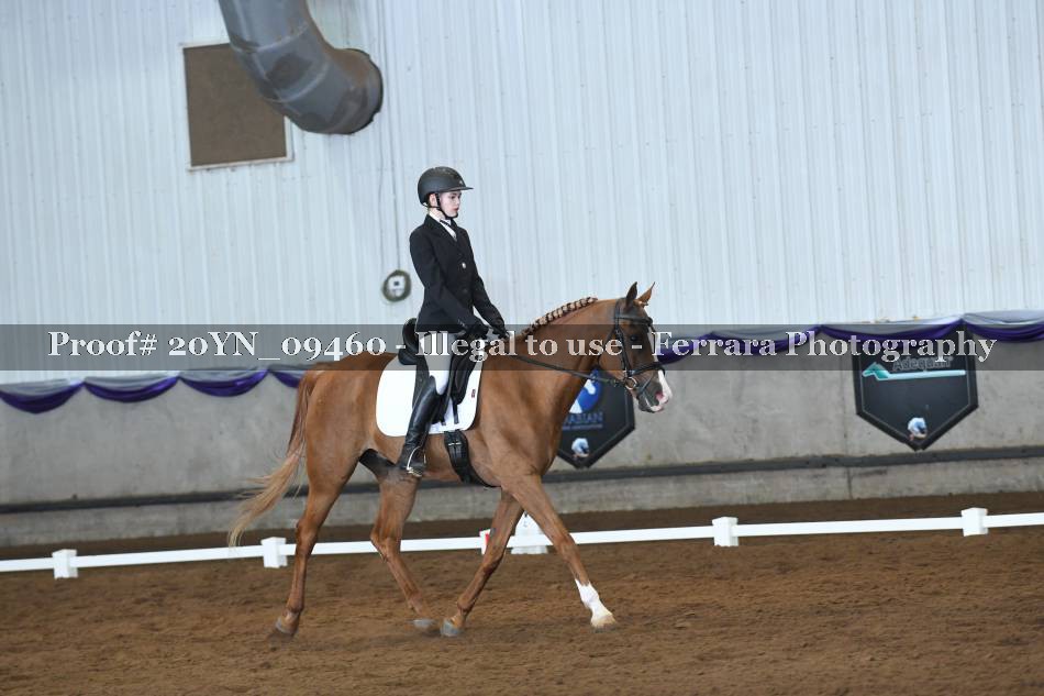 Proof 20YN_09460