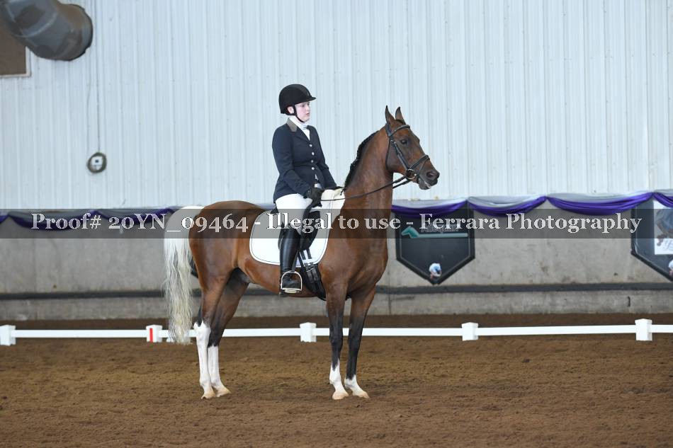 Proof 20YN_09464