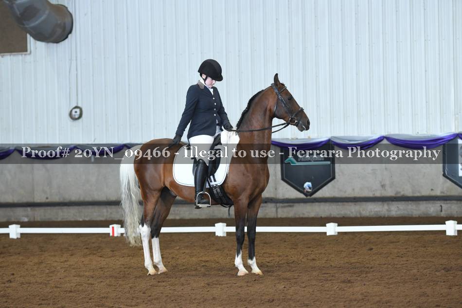 Proof 20YN_09466