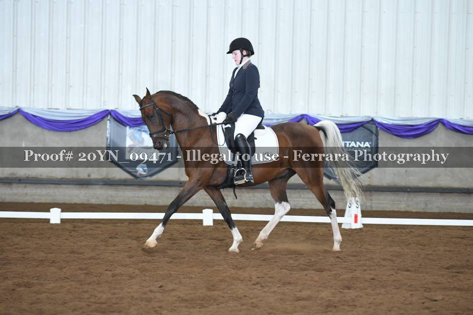 Proof 20YN_09471