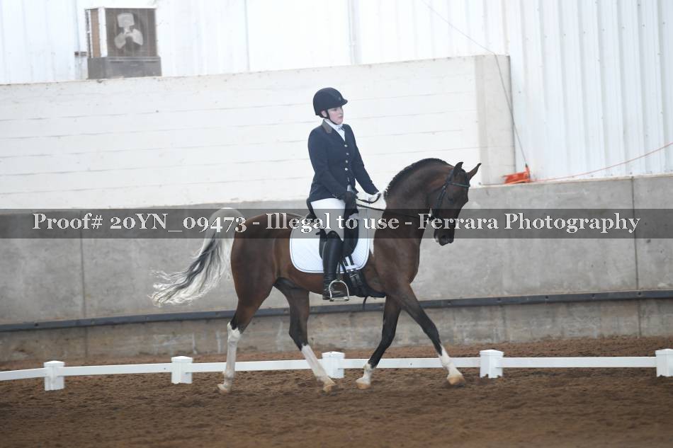 Proof 20YN_09473