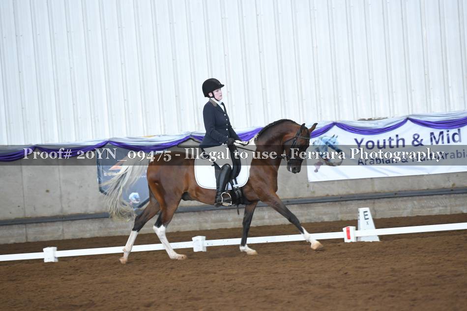 Proof 20YN_09475
