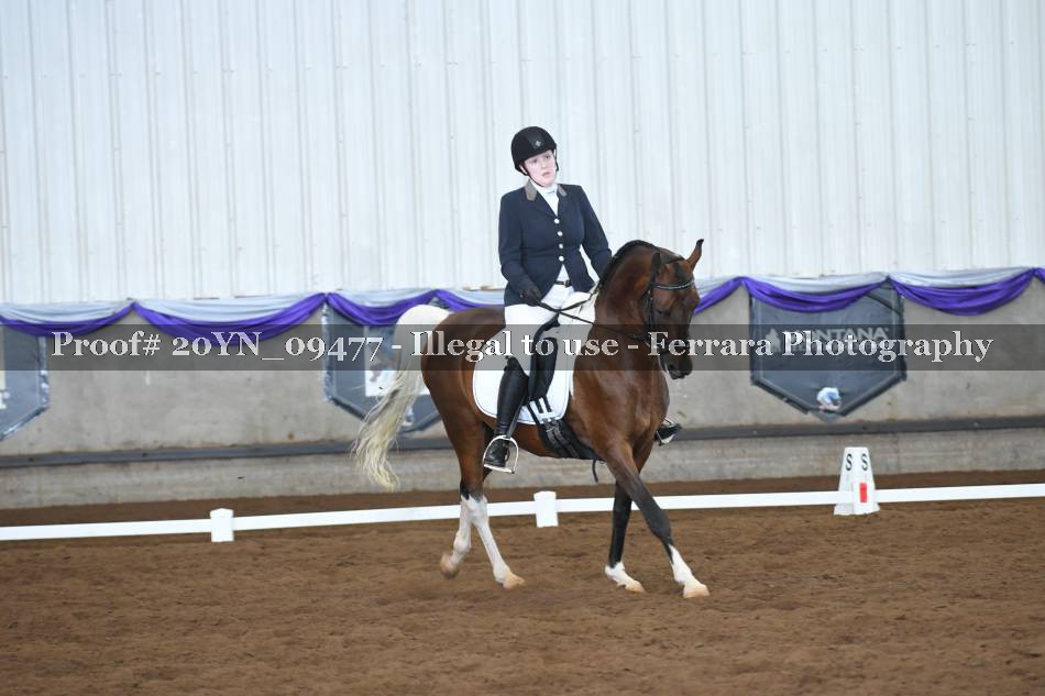 Proof 20YN_09477