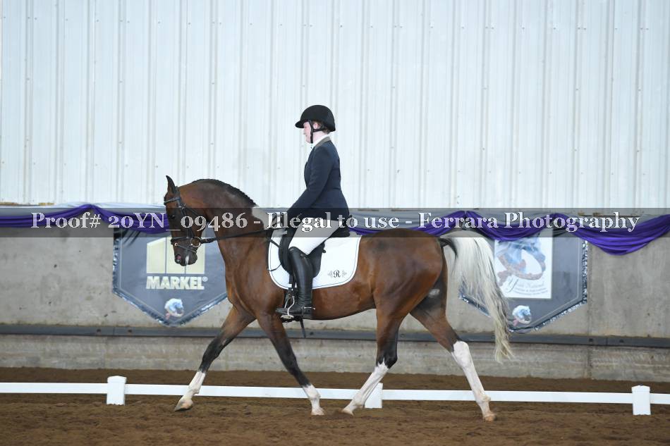 Proof 20YN_09486