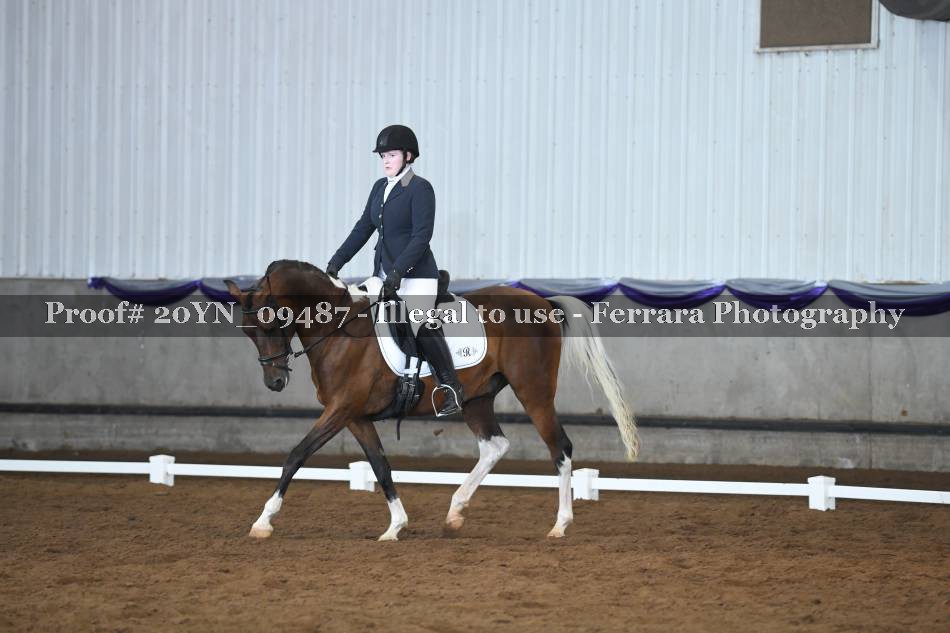 Proof 20YN_09487