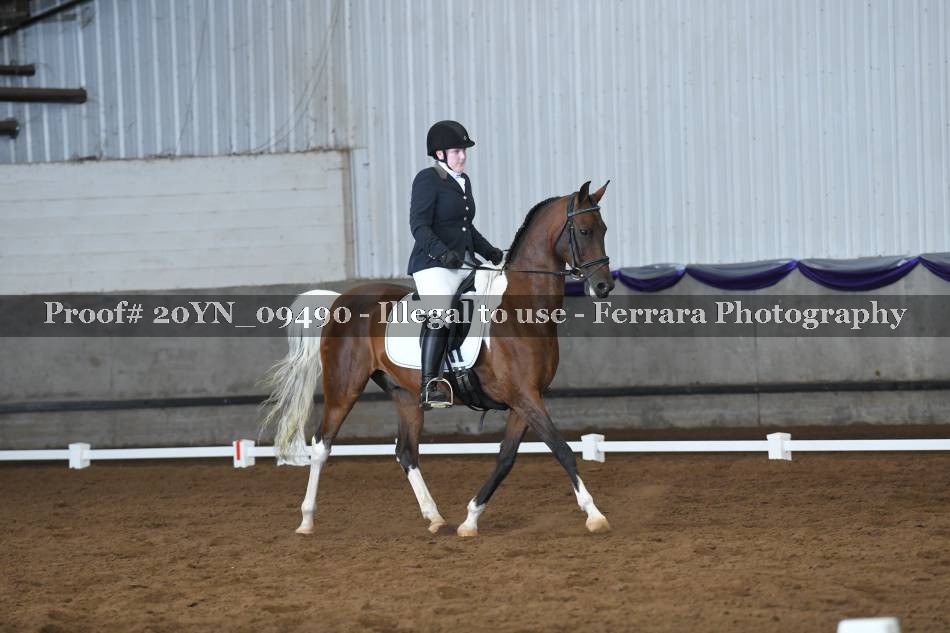 Proof 20YN_09490