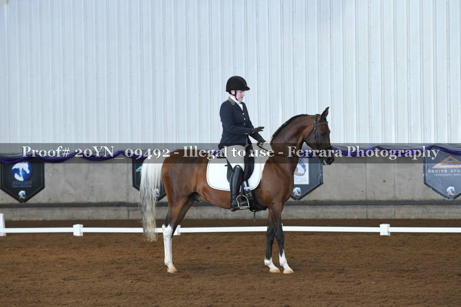 Proof 20YN_09492