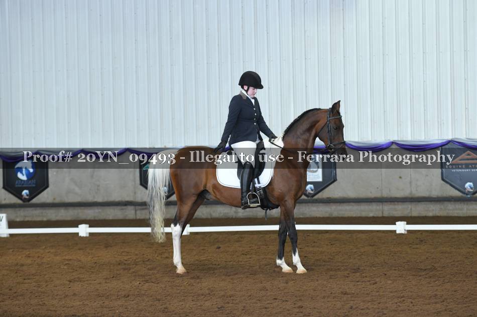 Proof 20YN_09493