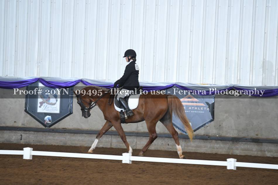 Proof 20YN_09495