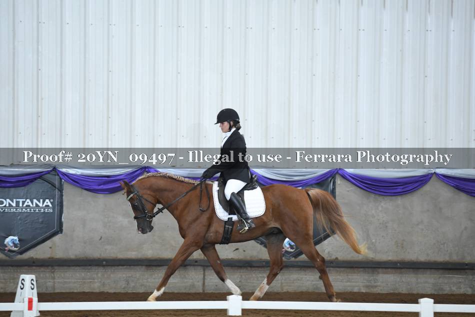Proof 20YN_09497
