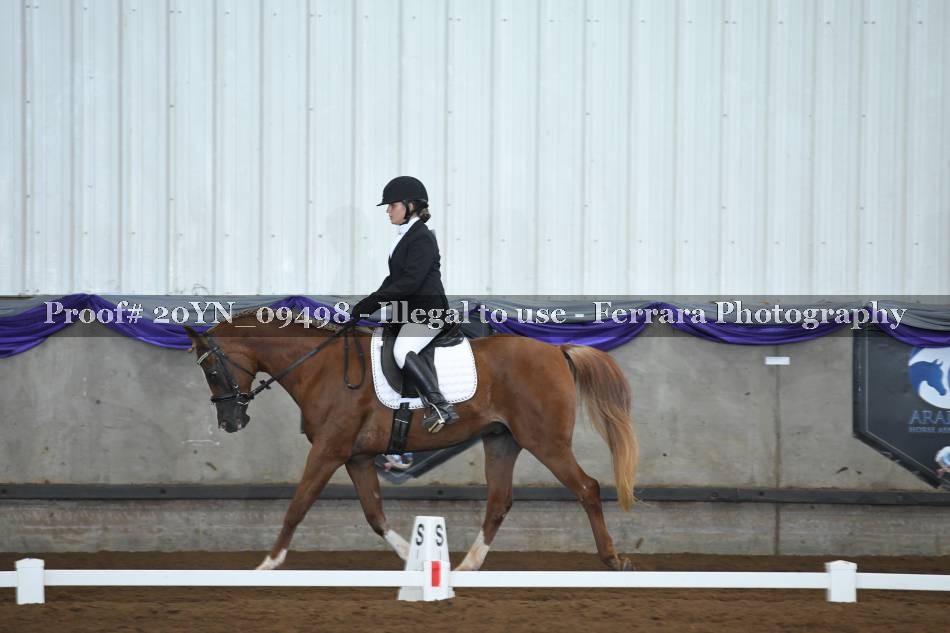 Proof 20YN_09498