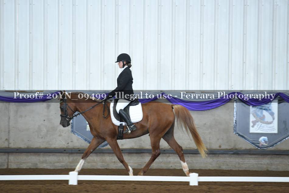 Proof 20YN_09499