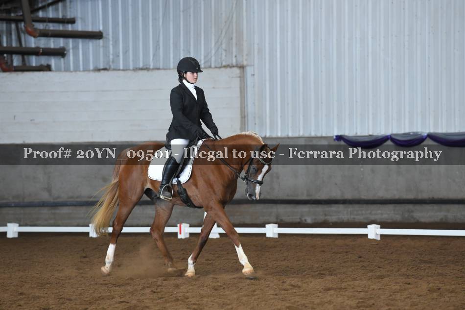 Proof 20YN_09501