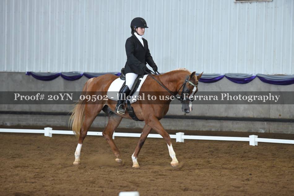 Proof 20YN_09502