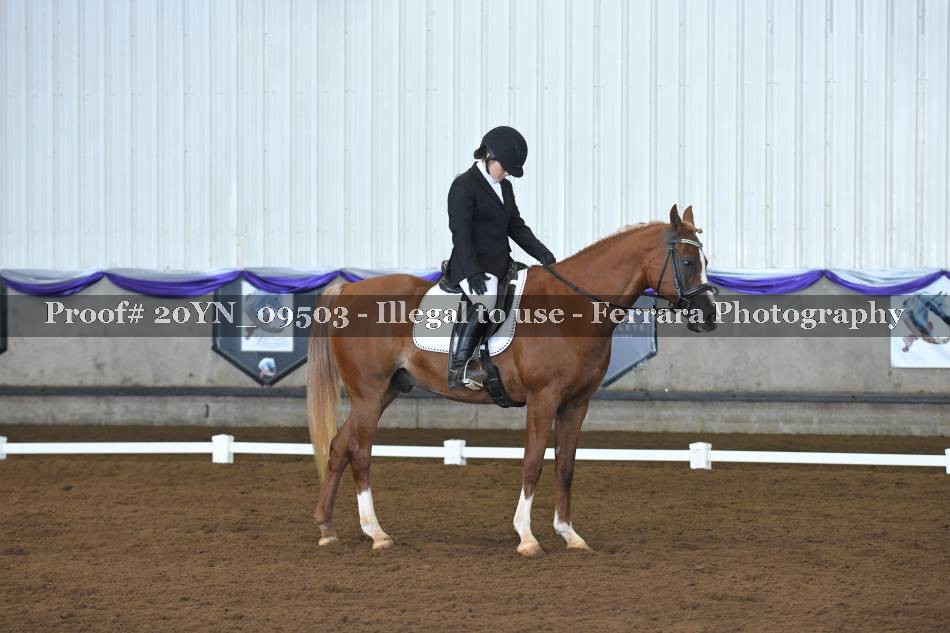 Proof 20YN_09503
