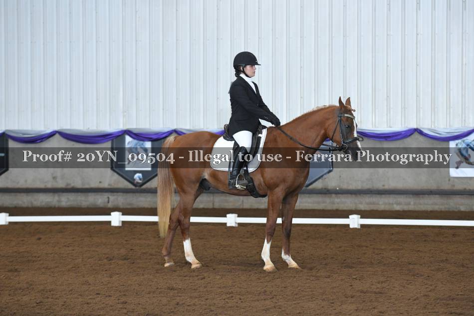 Proof 20YN_09504