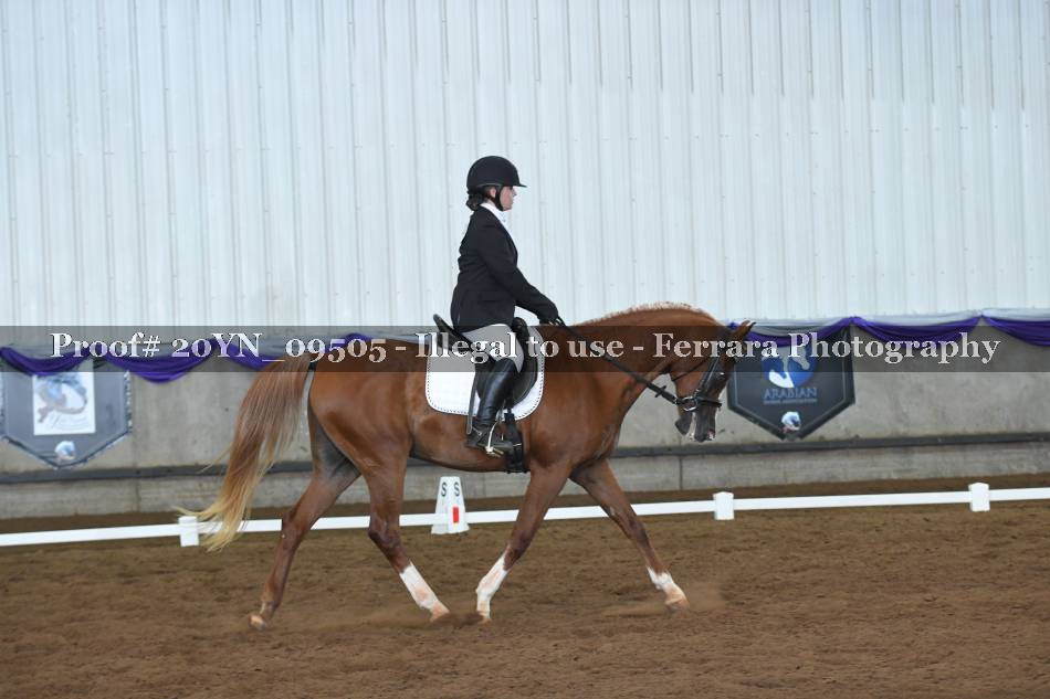 Proof 20YN_09505