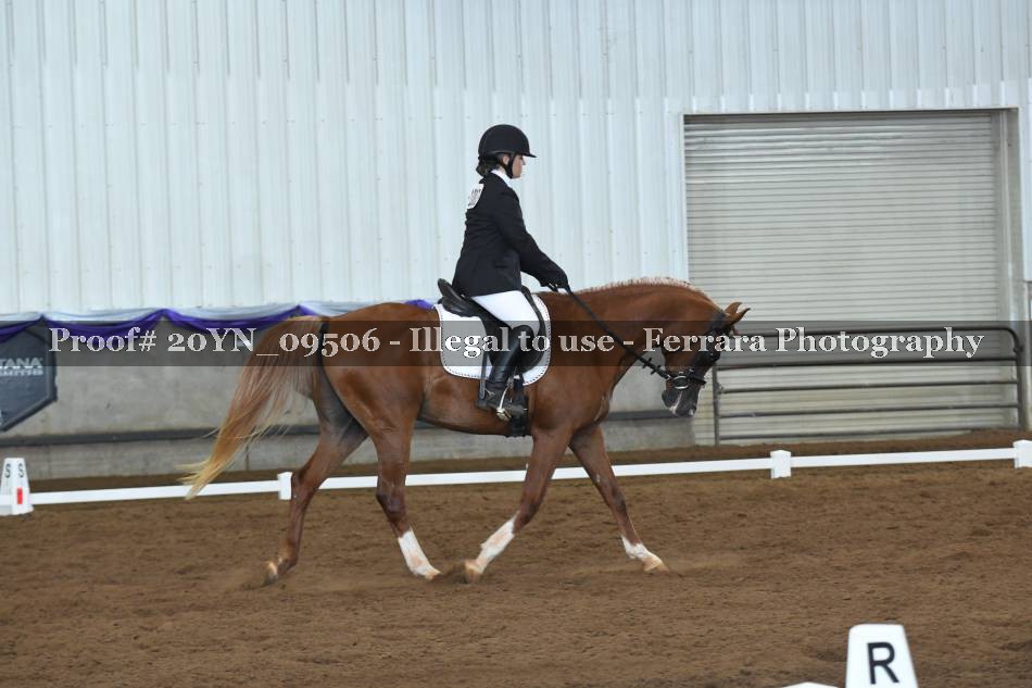 Proof 20YN_09506