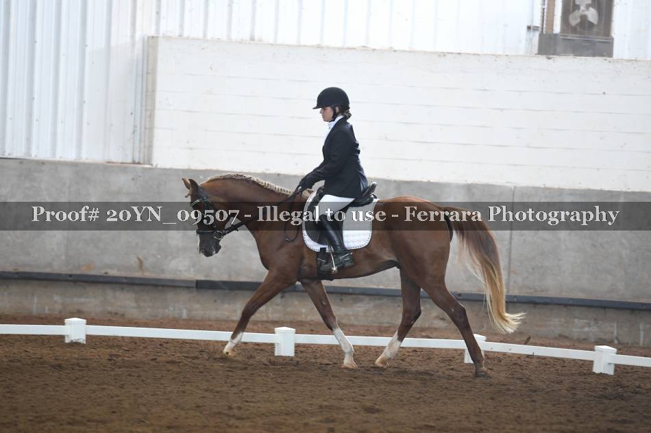 Proof 20YN_09507