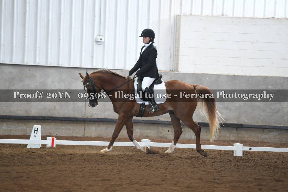 Proof 20YN_09508