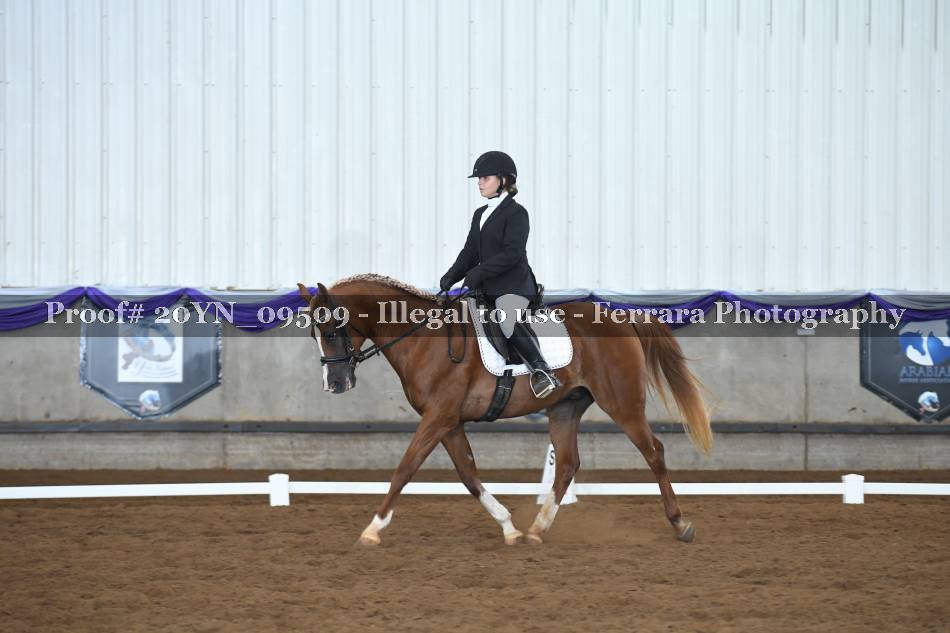 Proof 20YN_09509